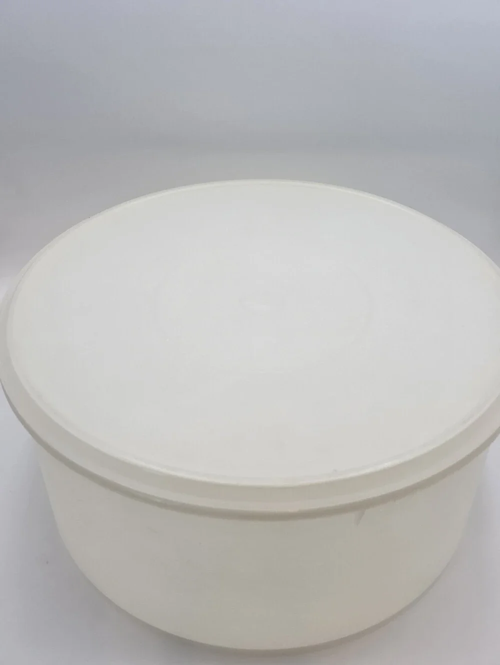 Tupperware vintage carry